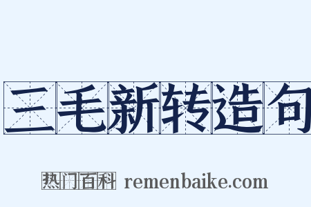 三毛新转造句是什么意思的图片